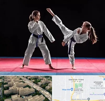 باشگاه تکواندو در اکباتان