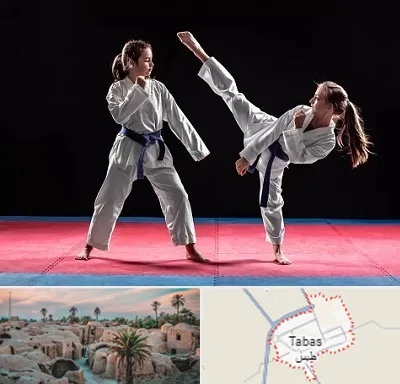 باشگاه تکواندو در طبس