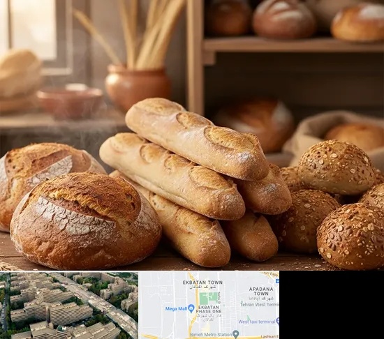 نان فانتزی در اکباتان