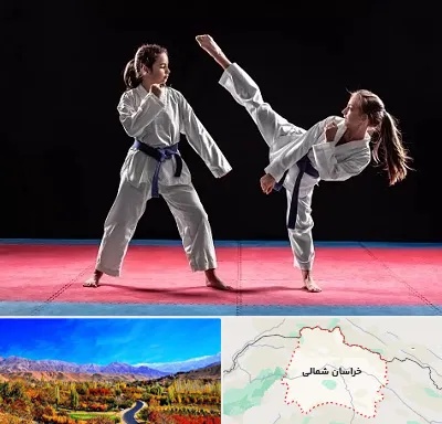 باشگاه تکواندو در خراسان شمالی