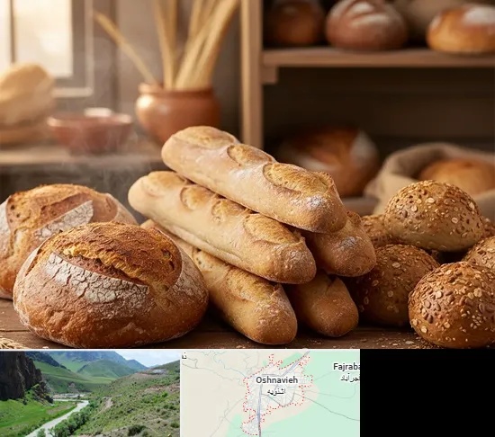 نان فانتزی در اشنویه