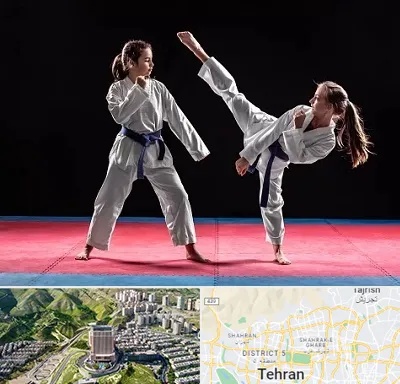 باشگاه تکواندو در شمال تهران 