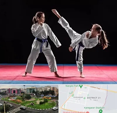 باشگاه تکواندو در تهرانسر