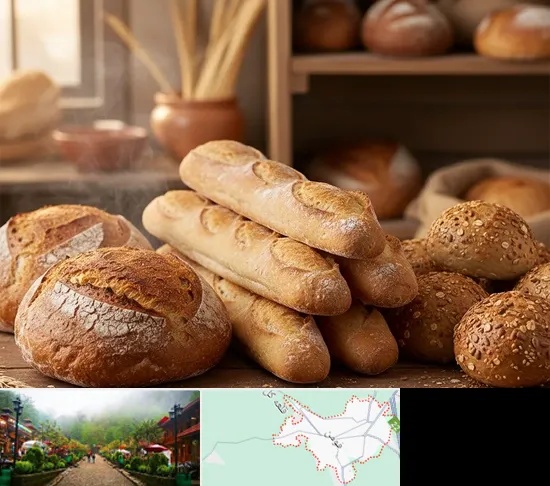 نان فانتزی در فومن