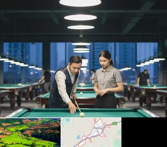 مربی بیلیارد در نکا