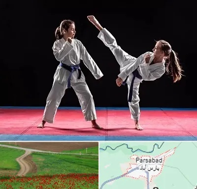 باشگاه تکواندو در پارس آباد