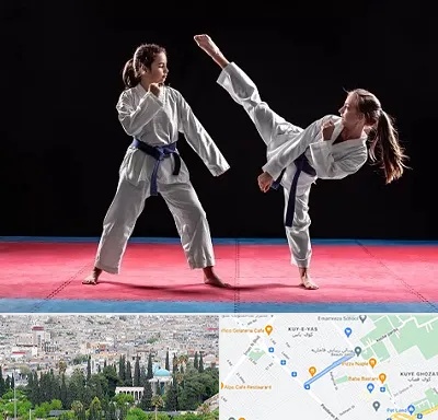باشگاه تکواندو در محلاتی شیراز