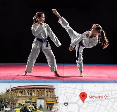 باشگاه تکواندو در مولوی