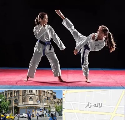 باشگاه تکواندو در لاله زار