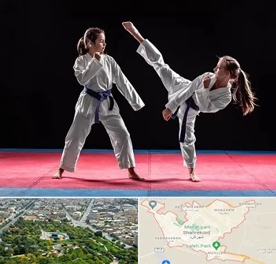 باشگاه تکواندو در شهرکرد