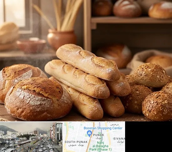 نان فانتزی در پونک