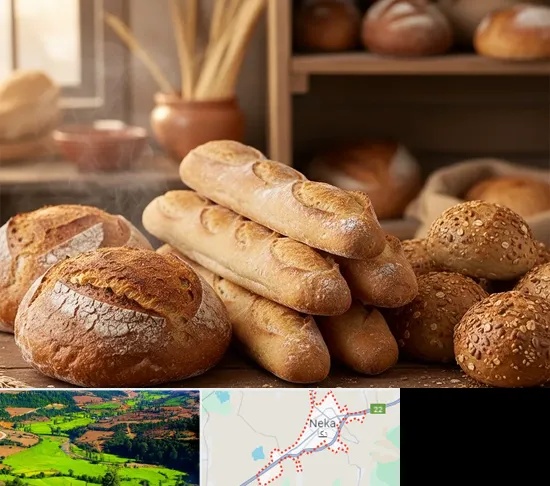 نان فانتزی در نکا