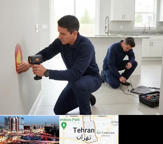 نشت یابی در صادقیه