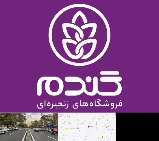 فروشگاه گندم در دولت