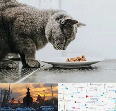 خرید غذای گربه در میدان حر 