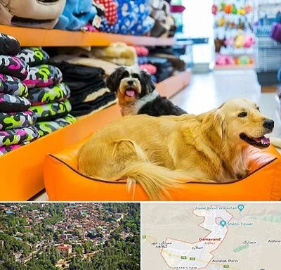 پت شاپ عمده در دماوند