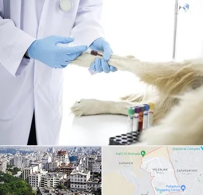 آزمایشگاه حیوانات در ولنجک 