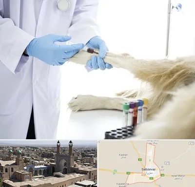 آزمایشگاه حیوانات در سبزوار