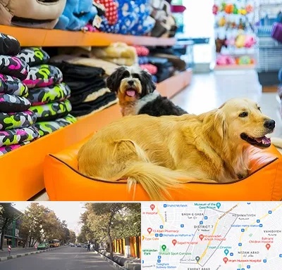 پت شاپ عمده در شریعتی 