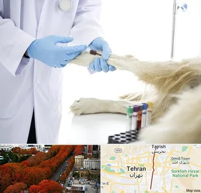 آزمایشگاه حیوانات در ولیعصر 