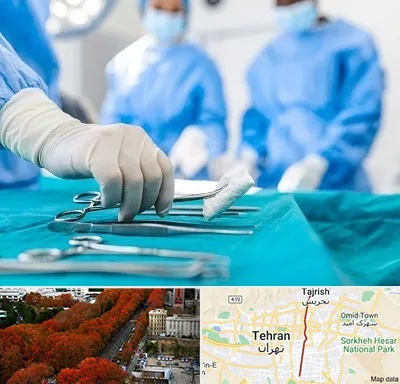 مونس پلاستی در ولیعصر 