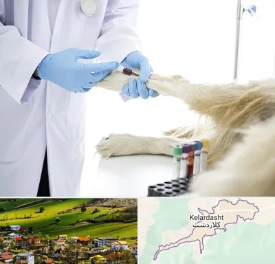 آزمایشگاه حیوانات در کلاردشت