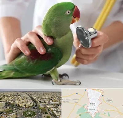 درمانگاه شبانه روزی پرندگان در قزوین