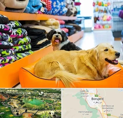 پت شاپ عمده در بروجرد