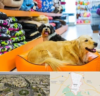 پت شاپ عمده در قزوین