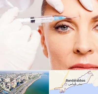 مزوژل در بندرعباس