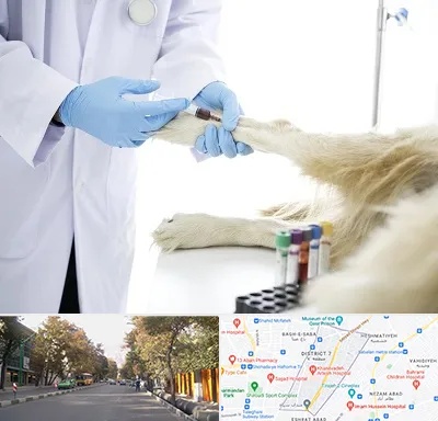 آزمایشگاه حیوانات در شریعتی 