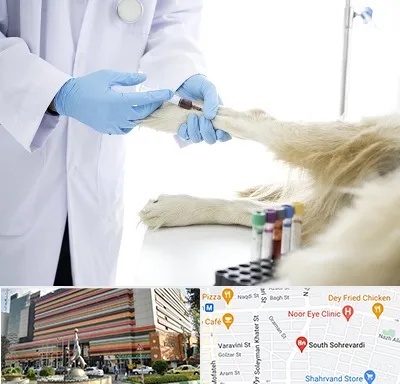آزمایشگاه حیوانات در سهروردی 