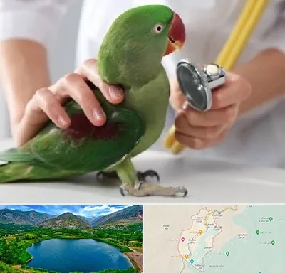 درمانگاه شبانه روزی پرندگان در رودبار