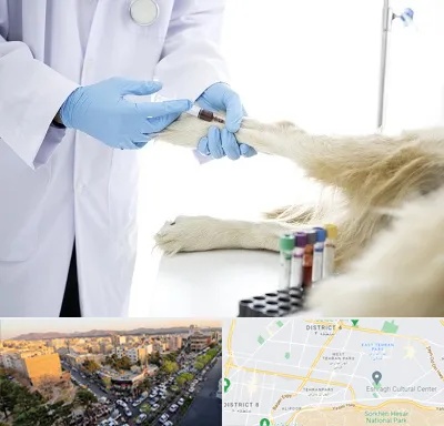 آزمایشگاه حیوانات در تهرانپارس 