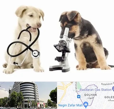 آزمایشگاه دامپزشکی در قلهک 