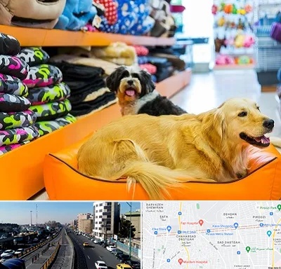 پت شاپ عمده در پیروزی 