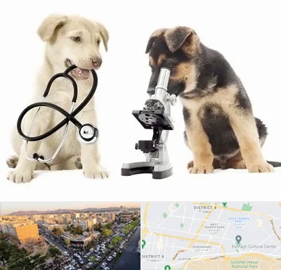 آزمایشگاه دامپزشکی در تهرانپارس 