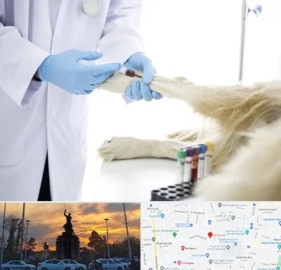 آزمایشگاه حیوانات در میدان حر 