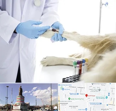 آزمایشگاه حیوانات در کارگر جنوبی 