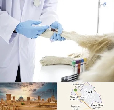 آزمایشگاه حیوانات در یزد