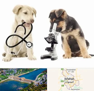 آزمایشگاه دامپزشکی در اصفهان