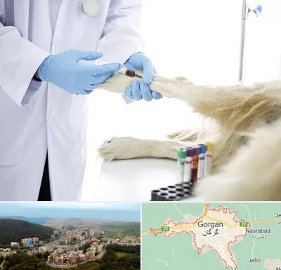 آزمایشگاه حیوانات در گرگان