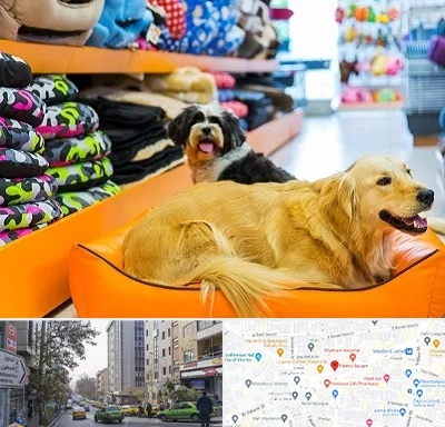 پت شاپ عمده در فاطمی 