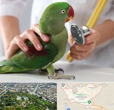 درمانگاه شبانه روزی پرندگان در شهرکرد