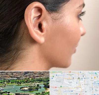 عمل گوش بل در منطقه 9 تهران 