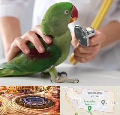 درمانگاه شبانه روزی پرندگان در بهارستان