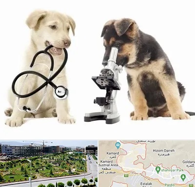 آزمایشگاه دامپزشکی در پردیس