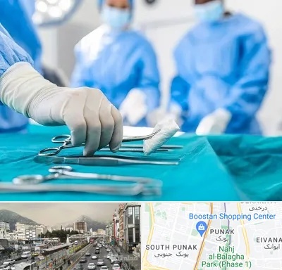 مونس پلاستی در پونک 