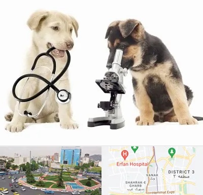 آزمایشگاه دامپزشکی در ونک 