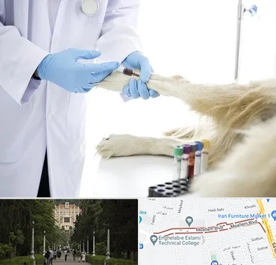 آزمایشگاه حیوانات در بلوار معلم رشت 